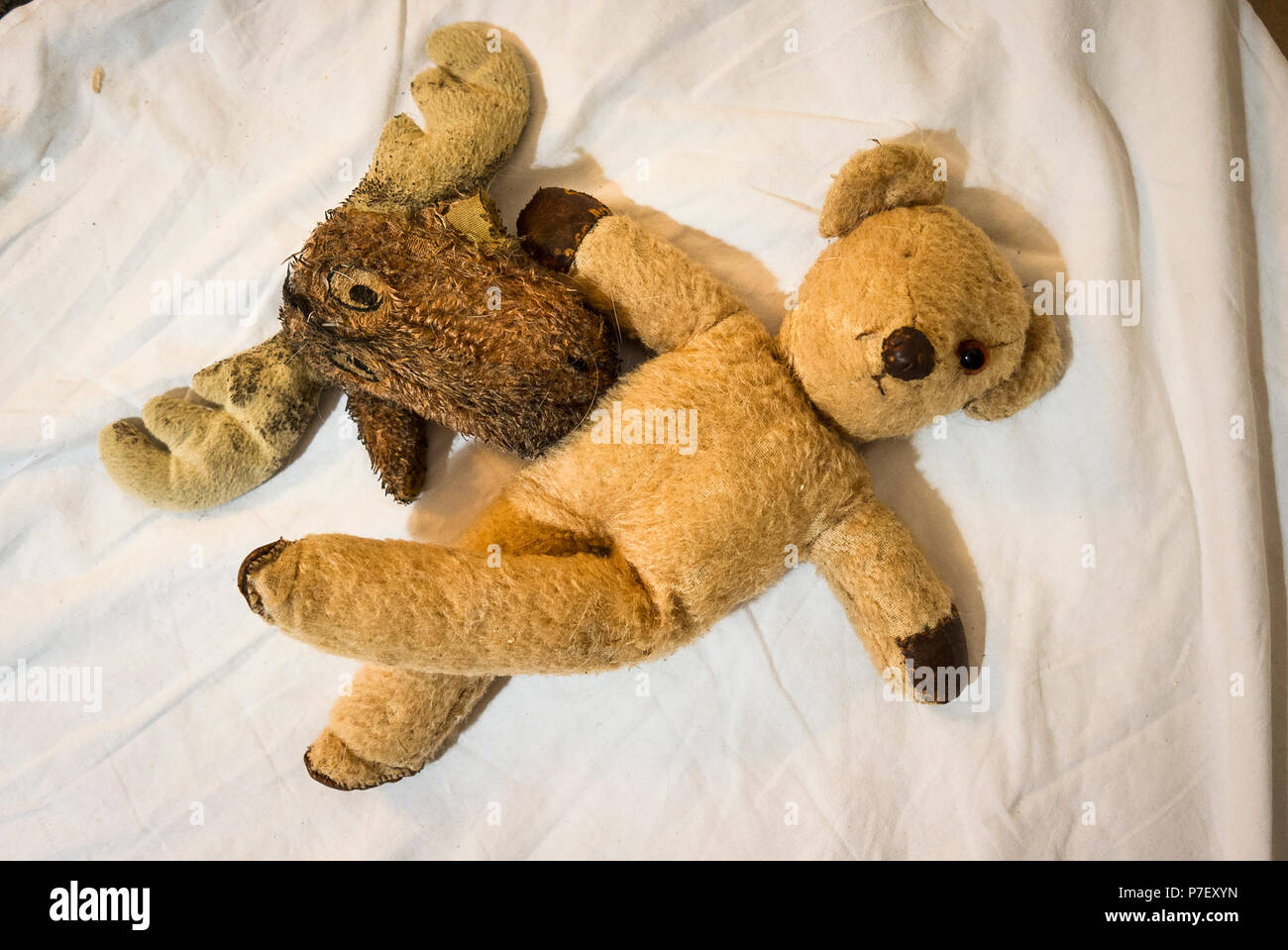 Jouets pour animaux familiers, et ainsi de partager du temps ensemble sur un lit d'appoint Banque D'Images