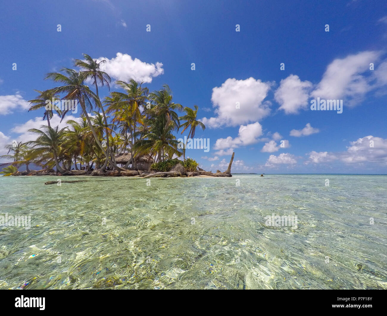 Petite île tropicale avec palmiers - paradis de vacances d'été Banque D'Images