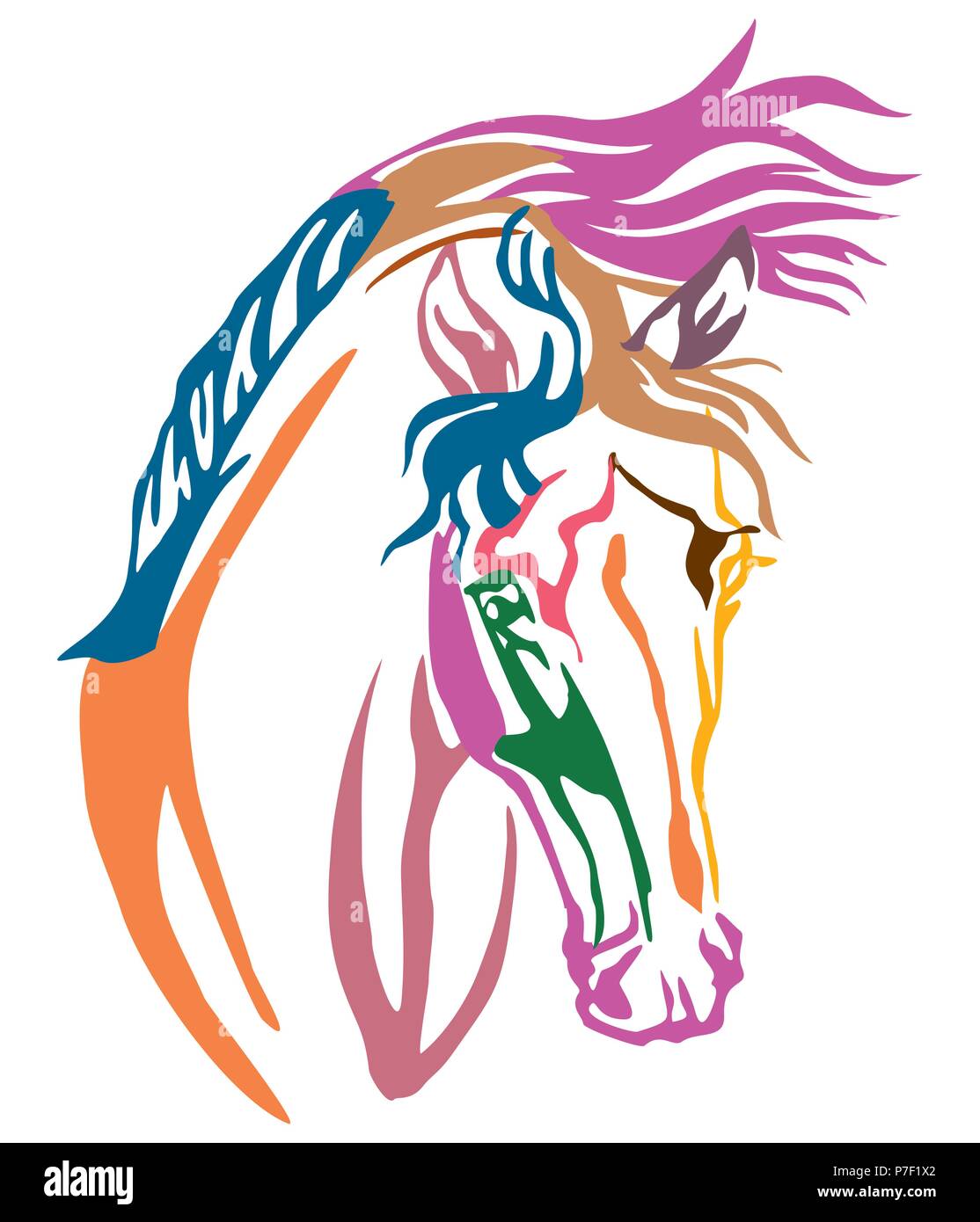 Portrait décoratives colorées du cheval arabe, vecteur illustration de différentes couleurs isolé sur fond blanc. Droit pour la conception et de tatouage. Illustration de Vecteur