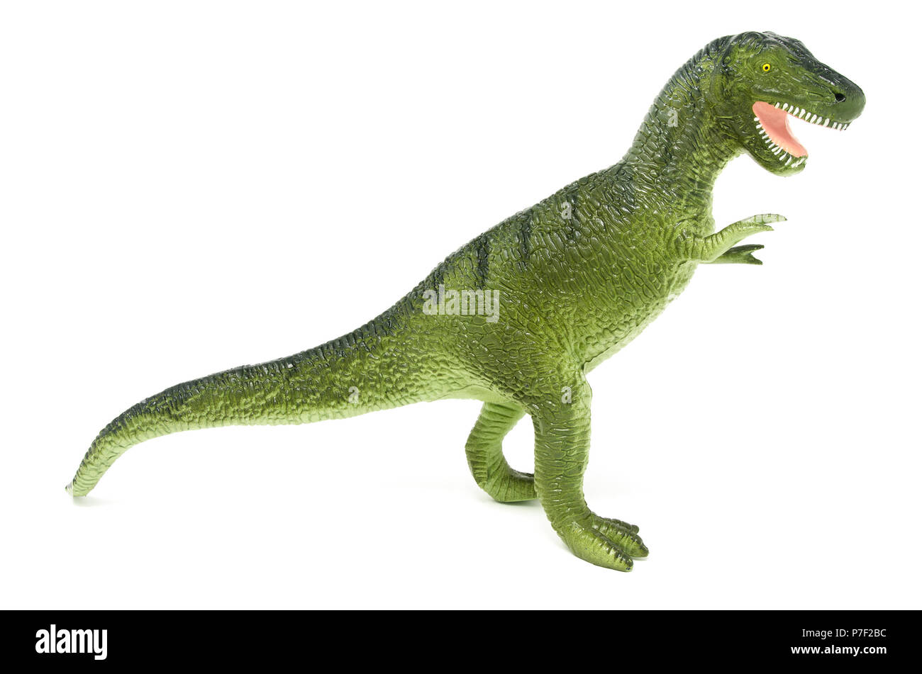 Du côté vert en plastique jouet dinosaure Tyrannosaurus rex, isolé sur un fond blanc. Banque D'Images