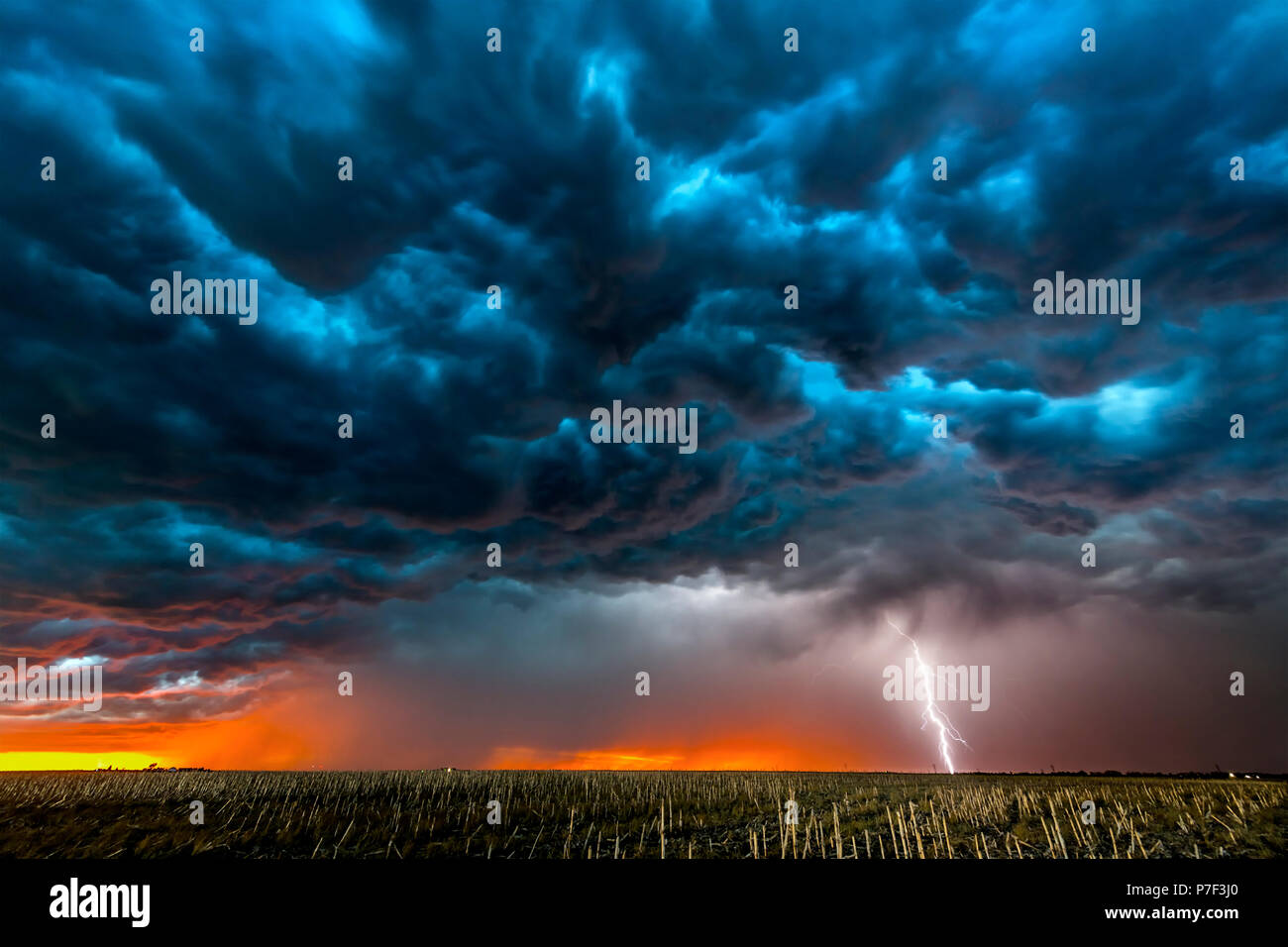 La nuit, un mezocyclone tornadiques orage vis tire d'électricité vers le sol et s'allume le terrain et chemin de terre dans la région de Tornado Alley. Banque D'Images
