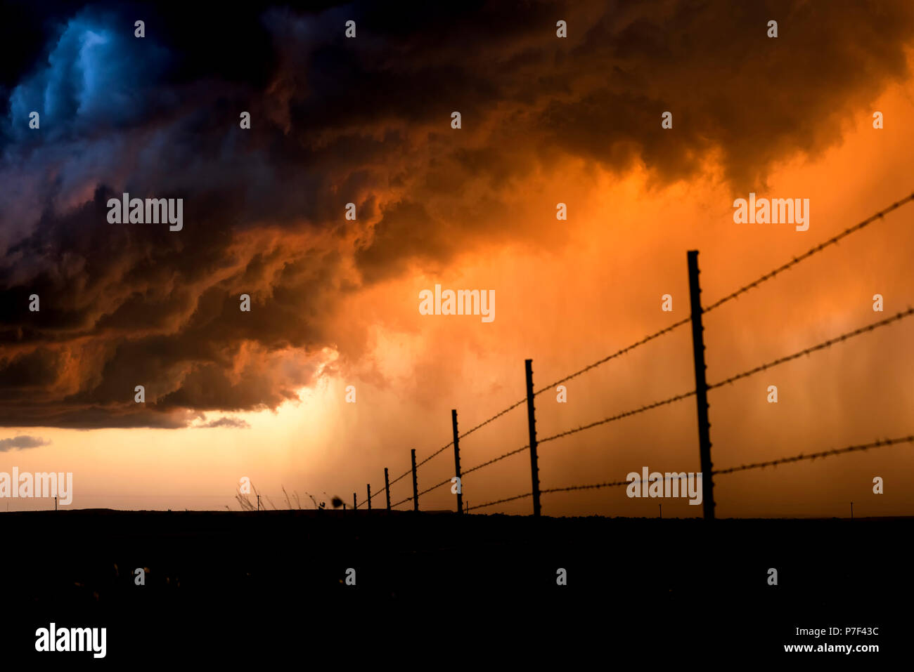 La pluie torrentielle pendant un orage encadrée par un bas, coucher du soleil orange tourné dans les Grandes Plaines Tornado Alley, Roswell, Nouveau Mexique. Banque D'Images