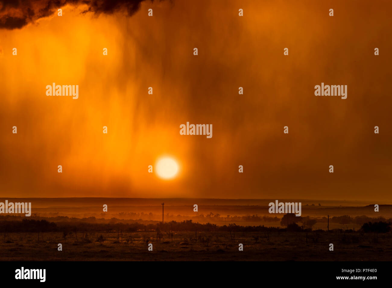 La pluie torrentielle pendant un orage encadrée par un bas, coucher du soleil orange tourné dans les Grandes Plaines Tornado Alley, Roswell, Nouveau Mexique. Banque D'Images
