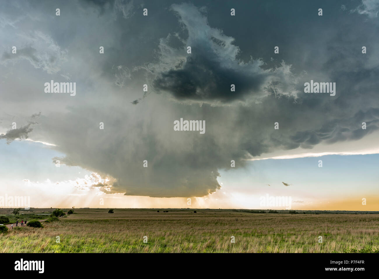 Grand, puissant orage supercellulaire tornade en mouvement sur les Grandes Plaines pendant le coucher du soleil, ouvrant la voie à la formation de tornades dans Tornado Al Banque D'Images