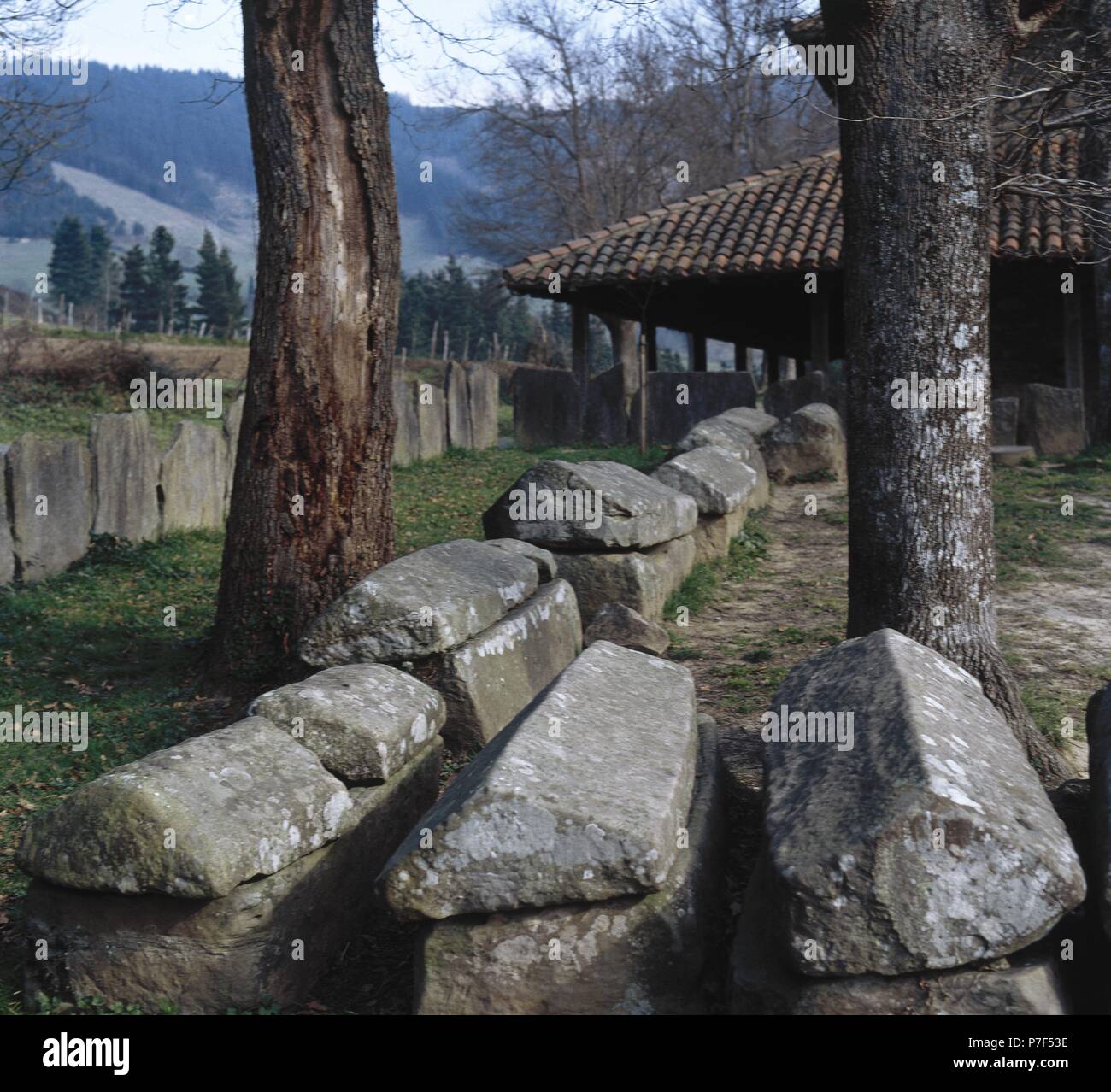 L'Espagne. Pays Basque. Argineta necropolis. Formé par environ 20 tombeaux et cinq stèles. Haut Moyen-Âge. (7e-9e siècle). Banque D'Images