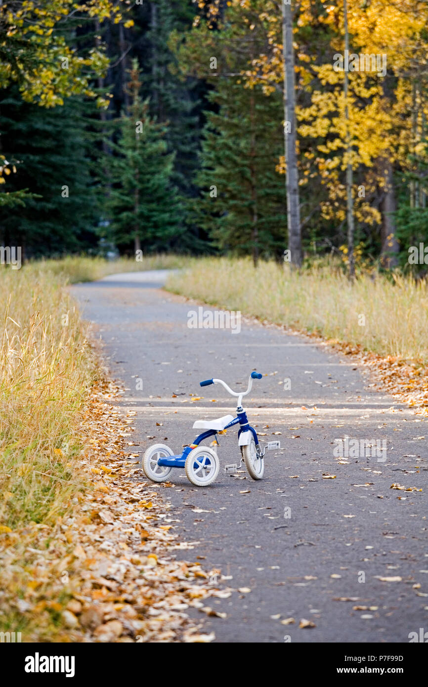L'enfant abandonné tricycle sur sentier en automne. Banque D'Images