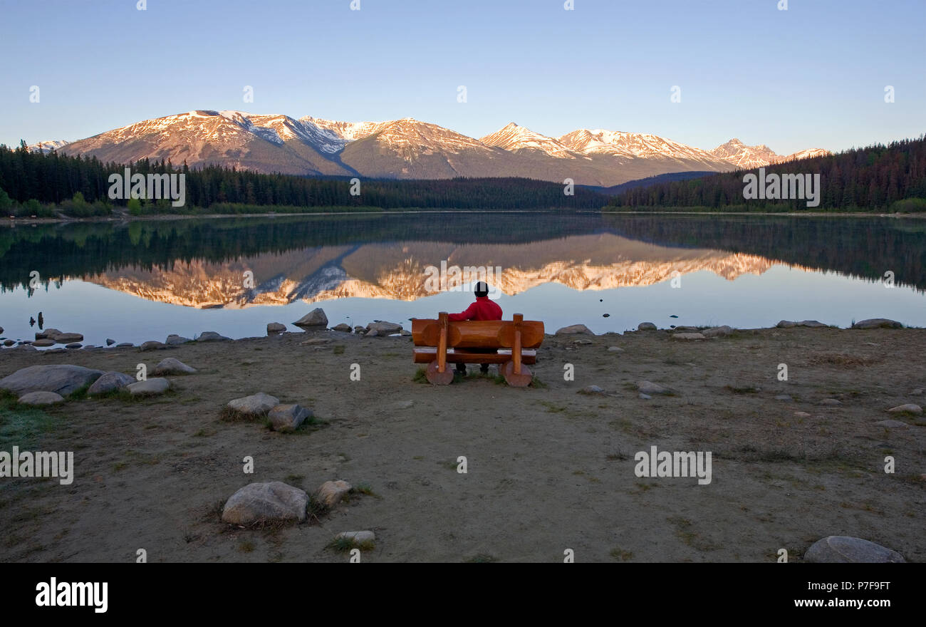 L'âge moyen des hommes assis sur un banc à la recherche de Patricia Lake à l'aube, Jasper National Park, Alberta, Canada. Banque D'Images