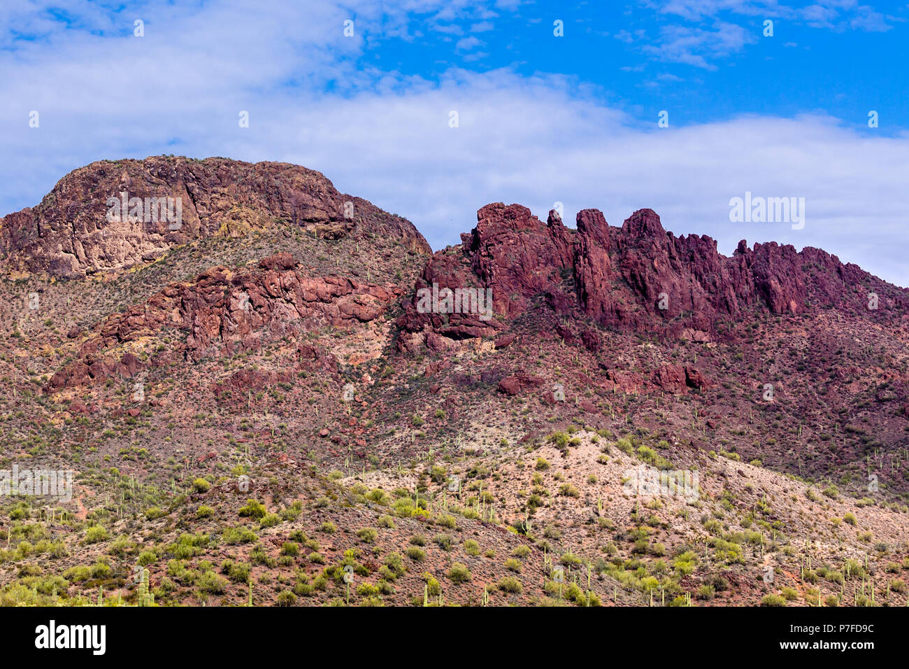 Pic des Vautours près de Wickenburg, dans l'Arizona désert de Sonora. Cactus géant saguaro la base de la litière ; nuages et ciel bleu au-dessus de la crête escarpée et colorés. Banque D'Images