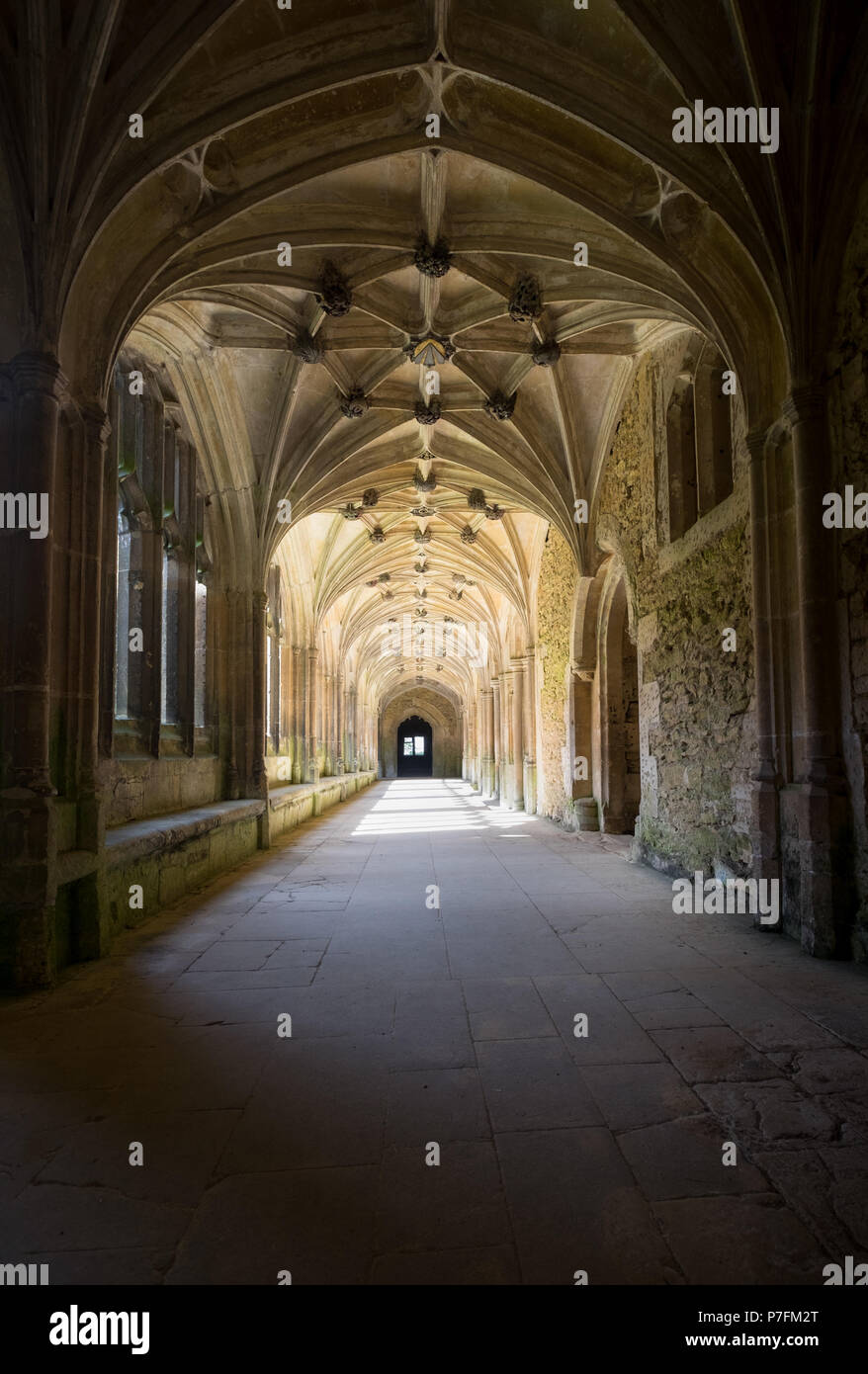 Abbaye de Lacock cloître, partie d'un ancien couvent . utilisé en films de Harry Potter Banque D'Images