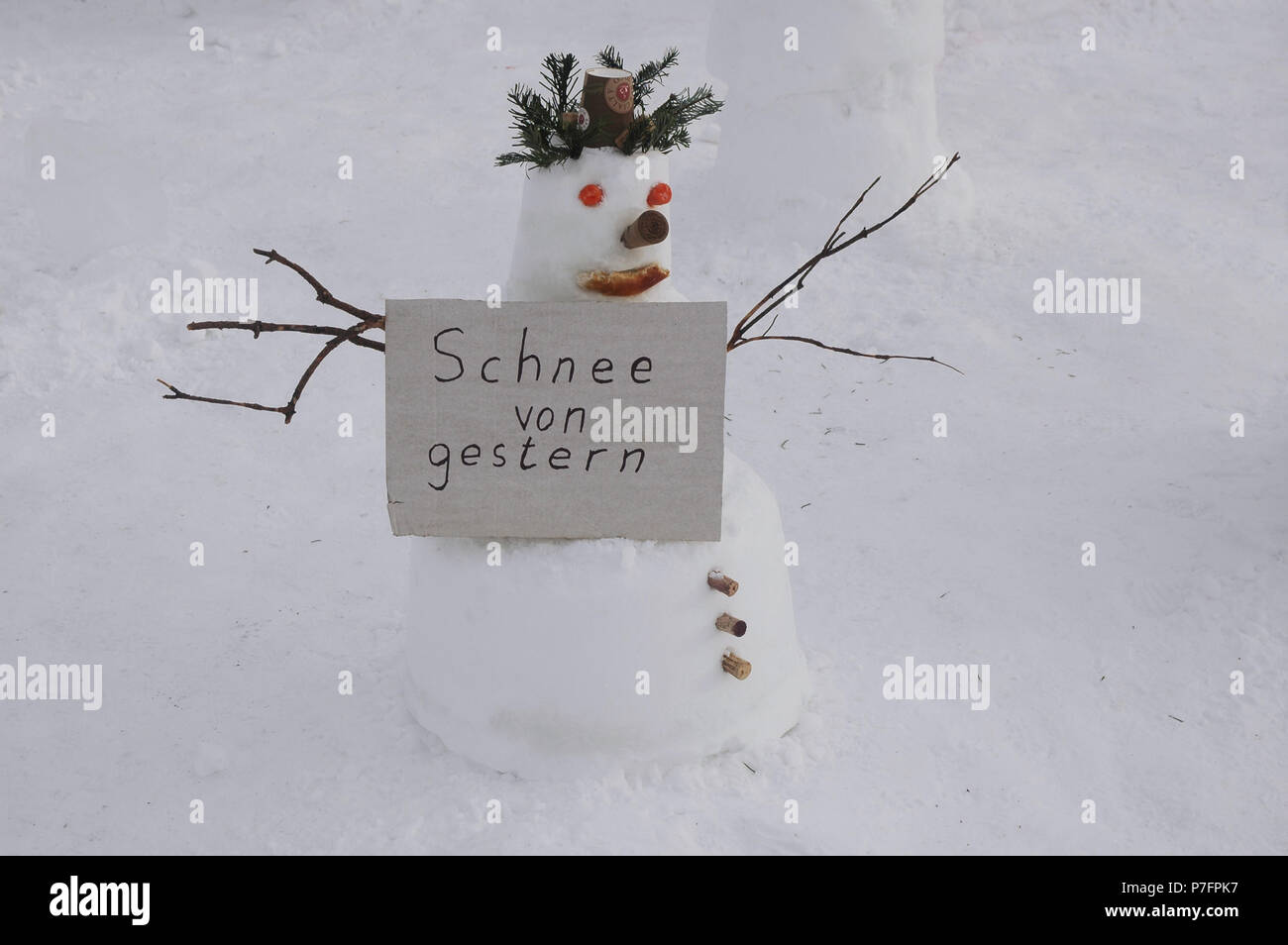 Avec le bonhomme de neige, signe d'hier sur le bonhomme de démo en face de la cathédrale de Berlin contre le réchauffement climatique Banque D'Images