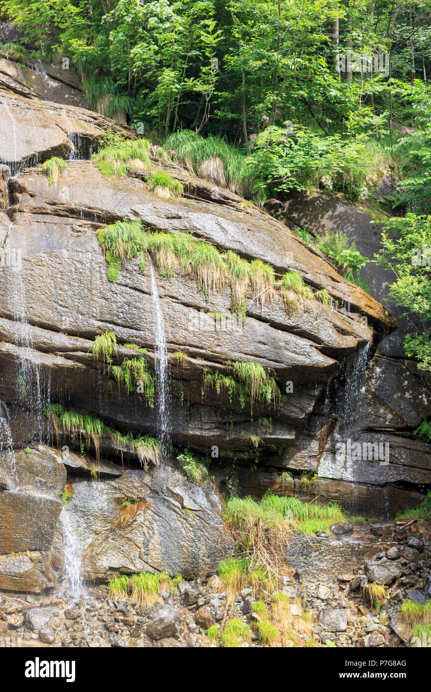 Cascade dans une forêt Banque D'Images