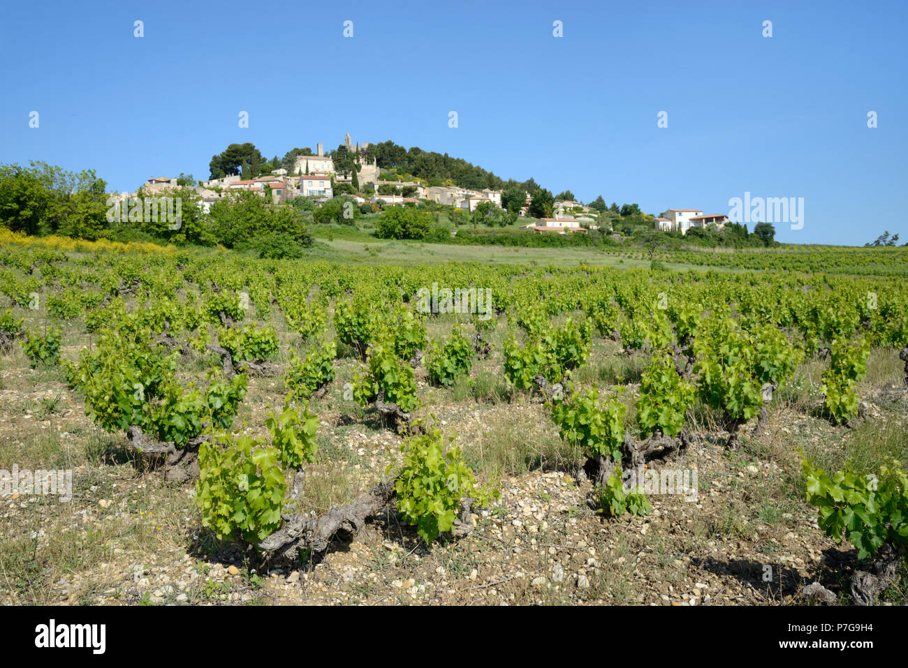 Village de Rasteau et Côtes-du-Rhône Vignoble Vignoble Vaucluse provence france ou Banque D'Images