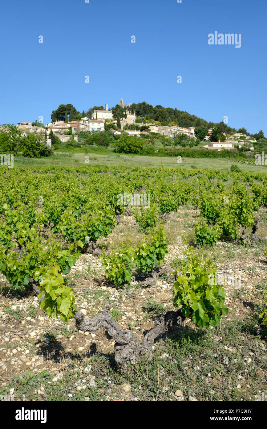 Village de Rasteau et Côtes-du-Rhône Vignoble Vignoble Vaucluse provence france ou Banque D'Images