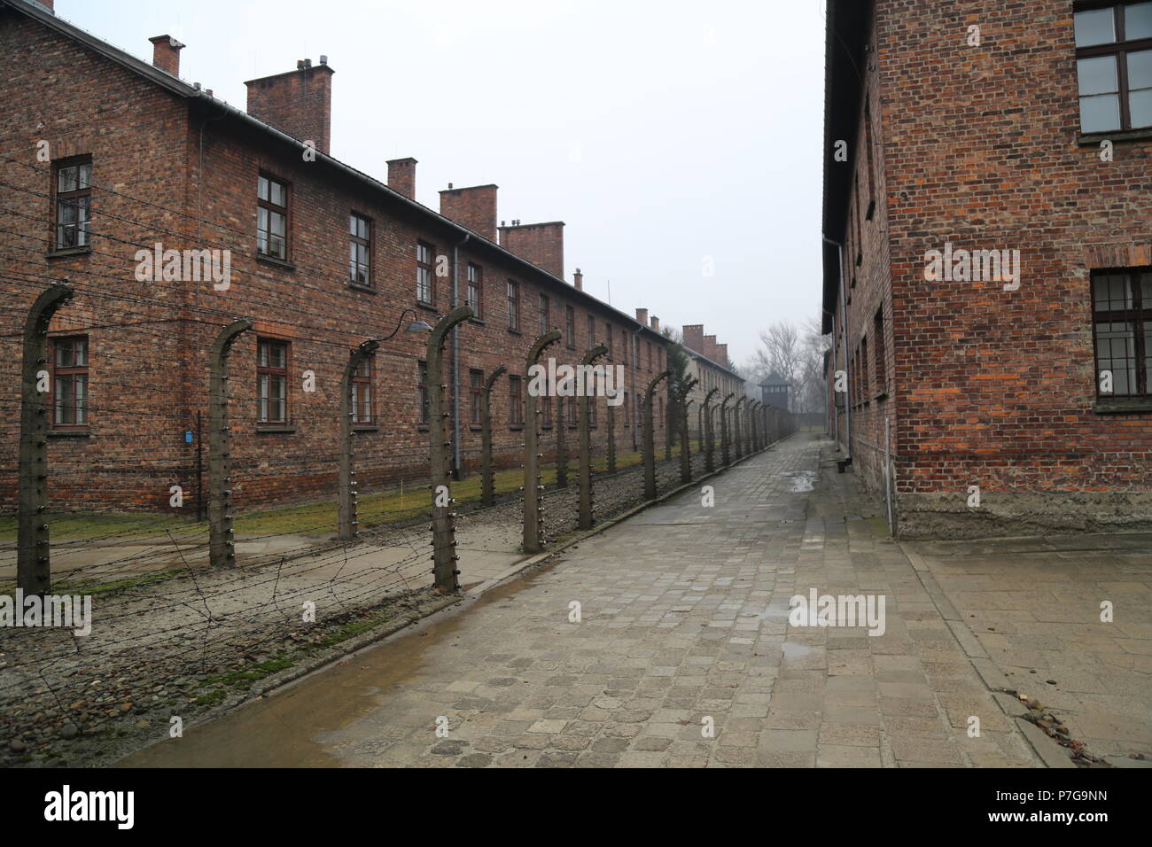 Camp de concentration allemand d'Auschwitz, Pologne Banque D'Images