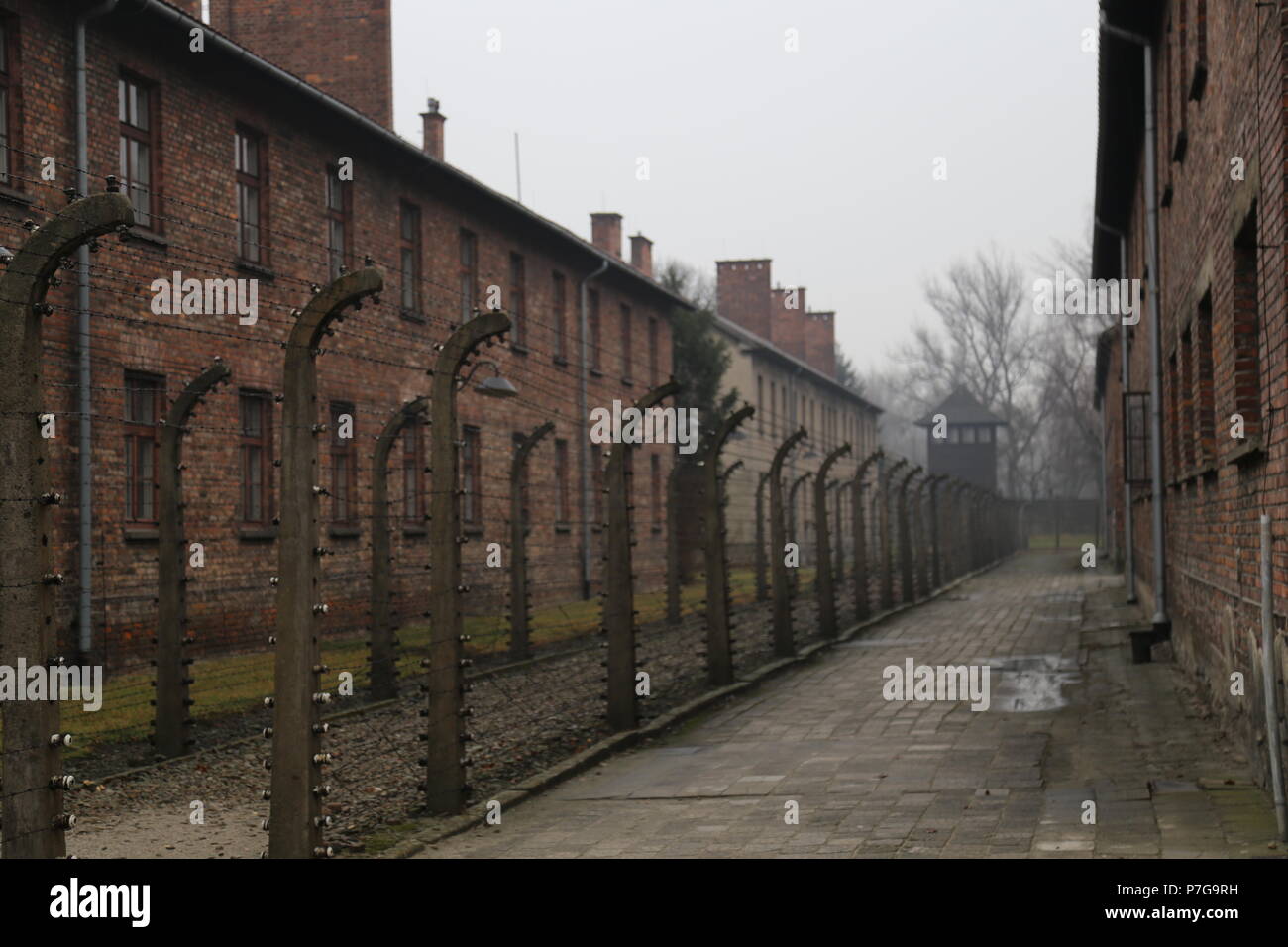 Camp de concentration allemand d'Auschwitz, Pologne Banque D'Images