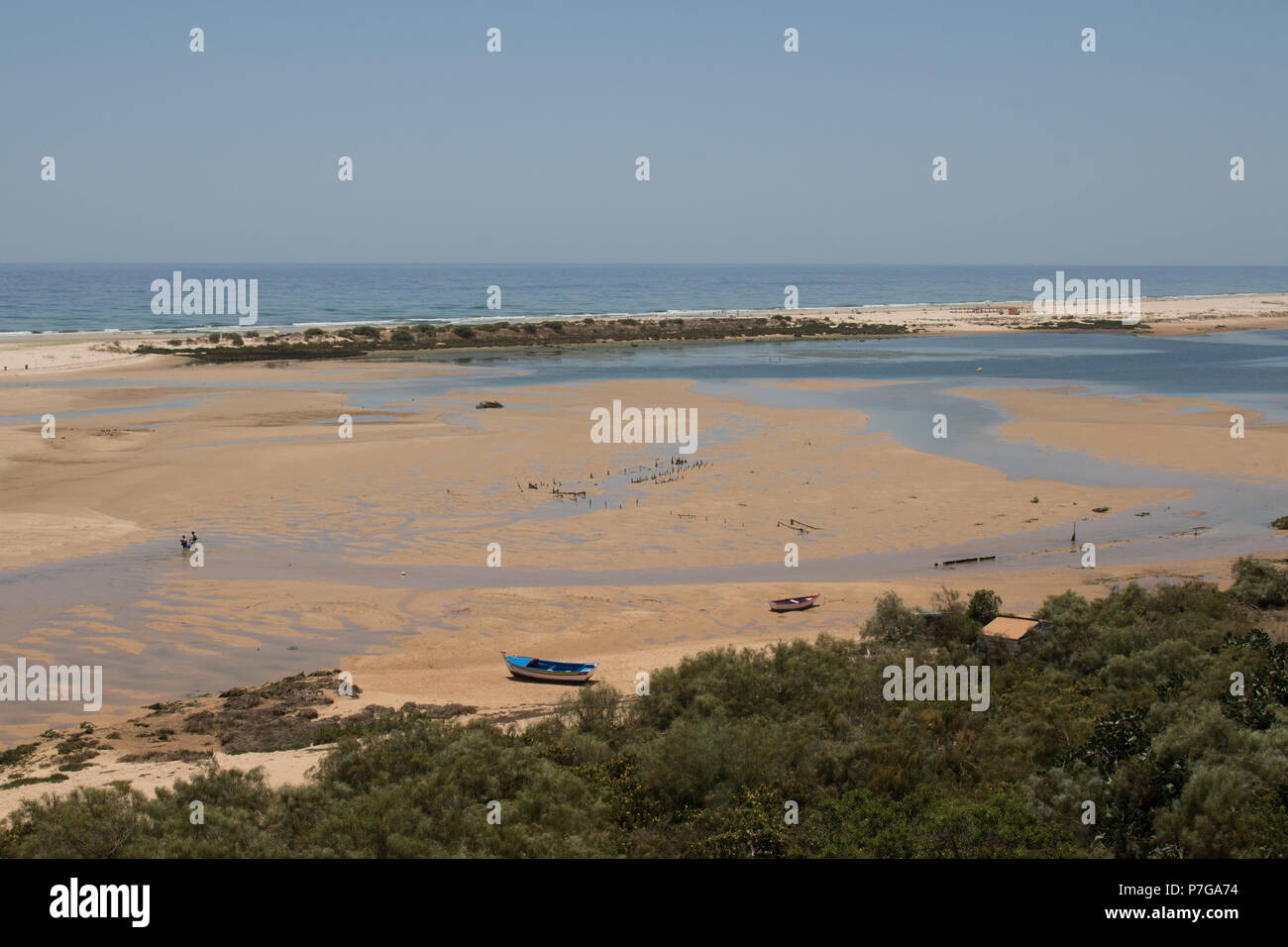 Plage de sable avec des flaques après une marée haute. Les arbres en premier plan, l'océan Atlantique à l'arrière-plan. Ciel bleu. Cacela Velha, Algarve, Portugal. Banque D'Images