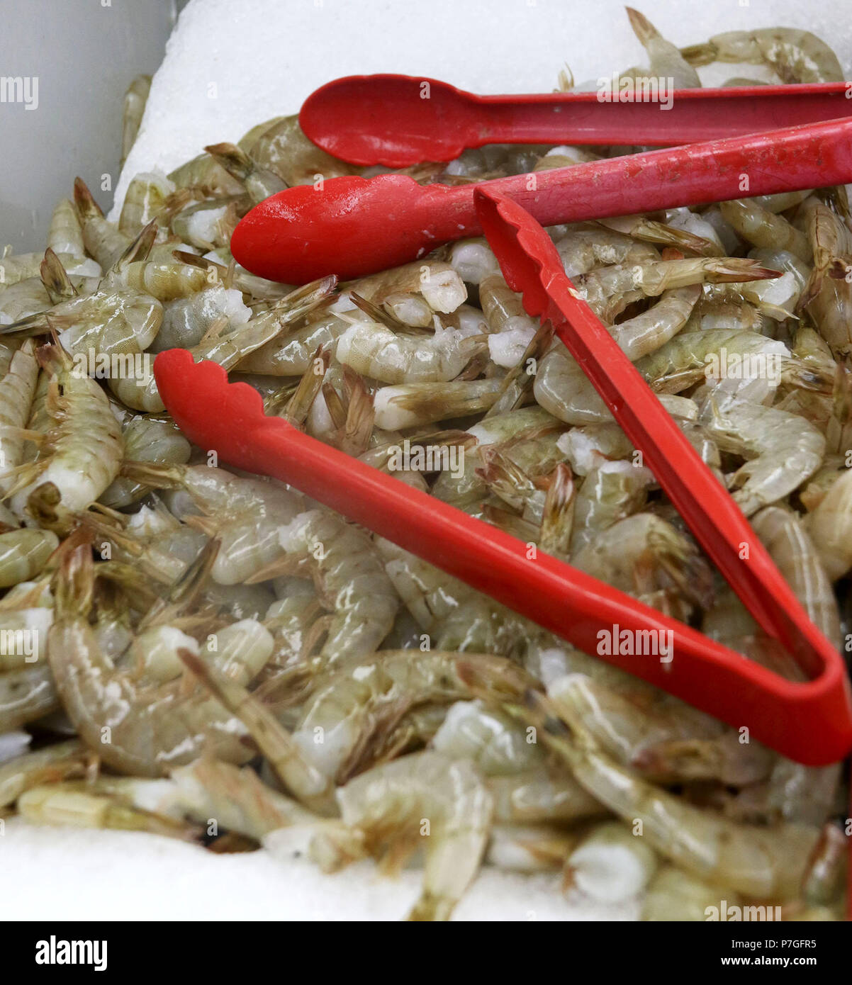Les crevettes crues sur glace au marché de fruits de mer Banque D'Images