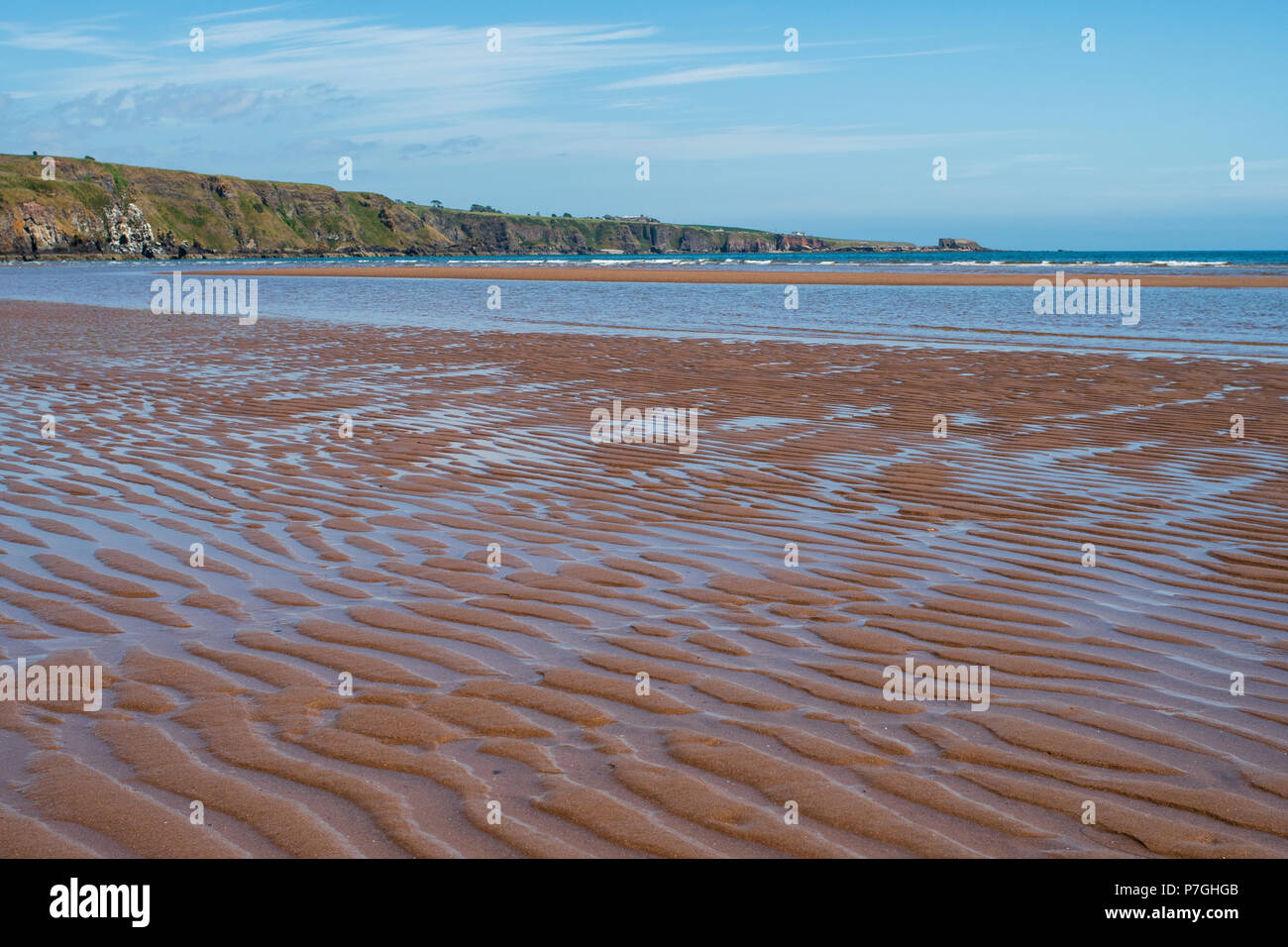 Lunan Bay, Angus, Scotland. Banque D'Images