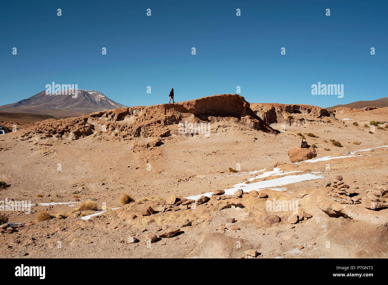 Homme marchant dans l'Eduardo Abaroa (Réserve nationale de faune andine Eduardo Avaroa Parque Nacional Volcán Ollague) autour. Uyuni, Bolivie Banque D'Images