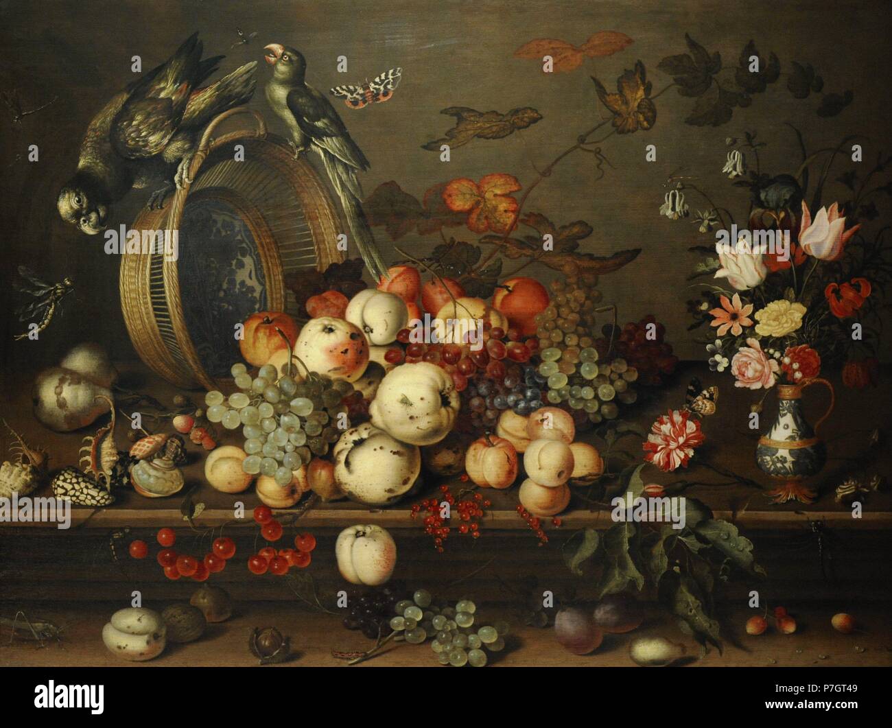 Balthasar van der Ast (1593-1657). Peintre hollandais. Nature morte avec fruits, coquillages et d'insectes, années 1620. Le Musée de l'Ermitage. Saint Petersburg. La Russie. Banque D'Images