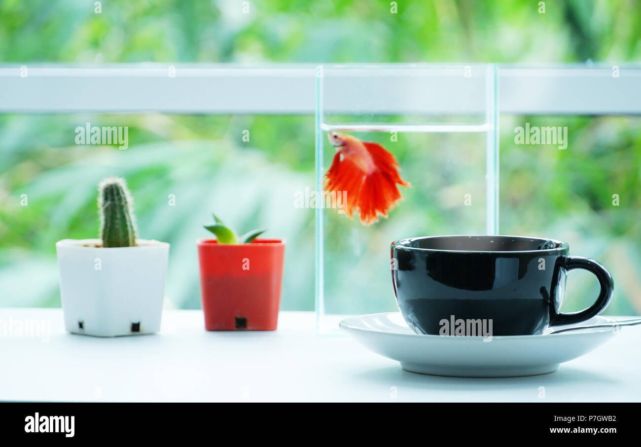 Tasse de café noir avec jolie poisson et cactus sur la table près de la fenêtre,office concept. Banque D'Images