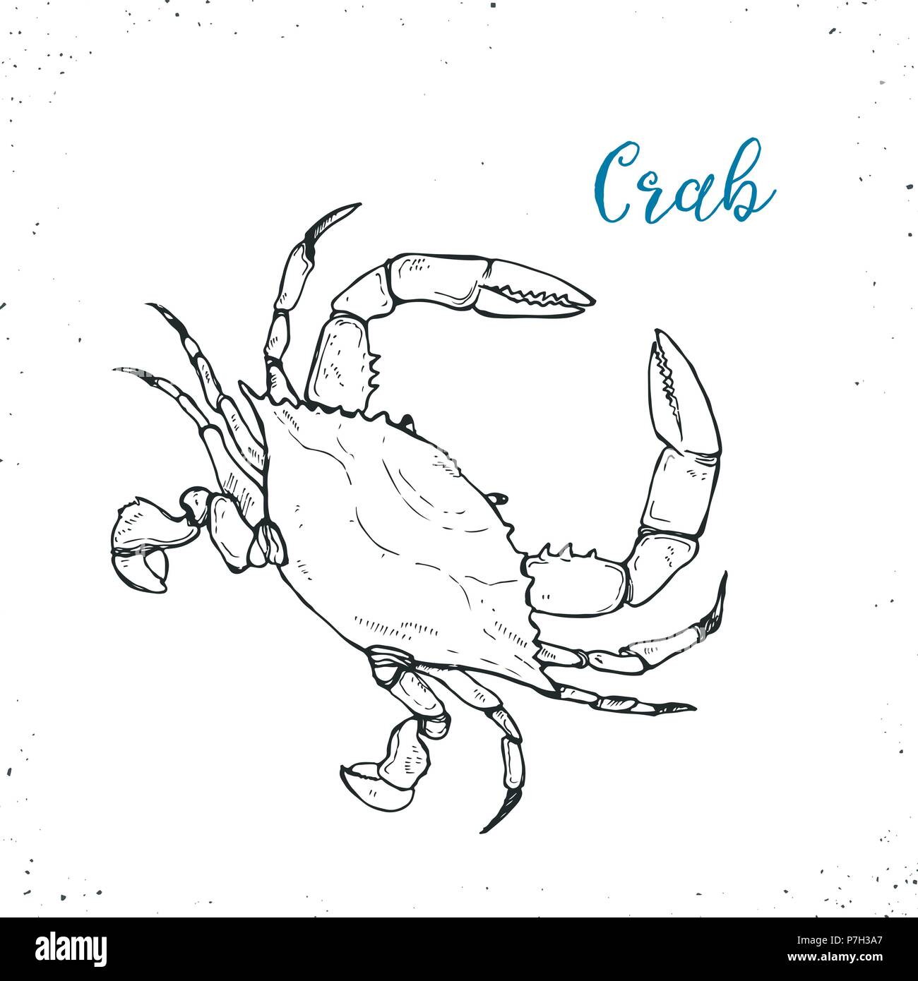 Illustration vecteur de fruits de mer Illustration de Vecteur