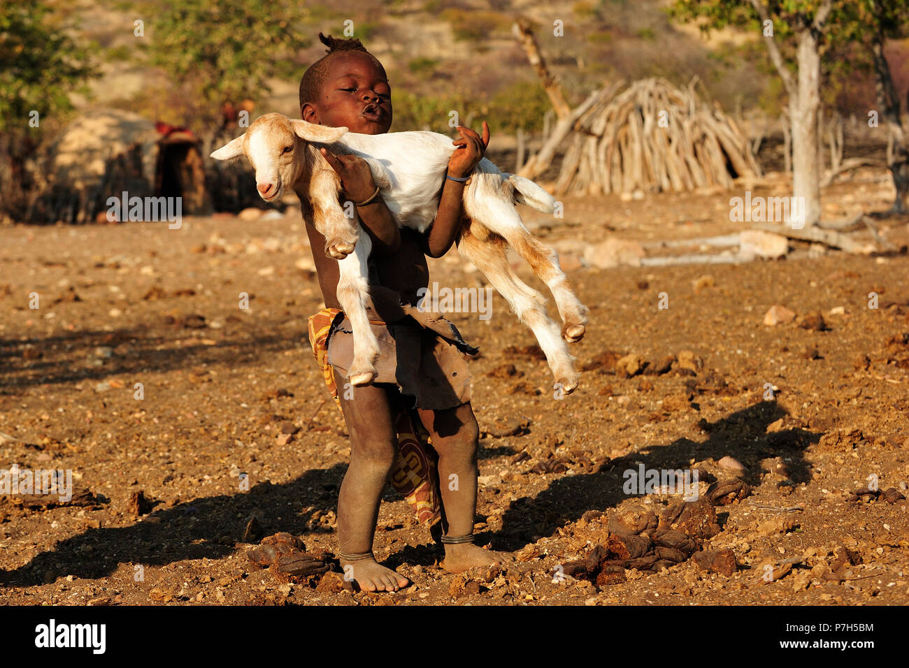 Petit garçon Himba transportant une chèvre, District de Kunene Kaokoveld, Namibie, Banque D'Images
