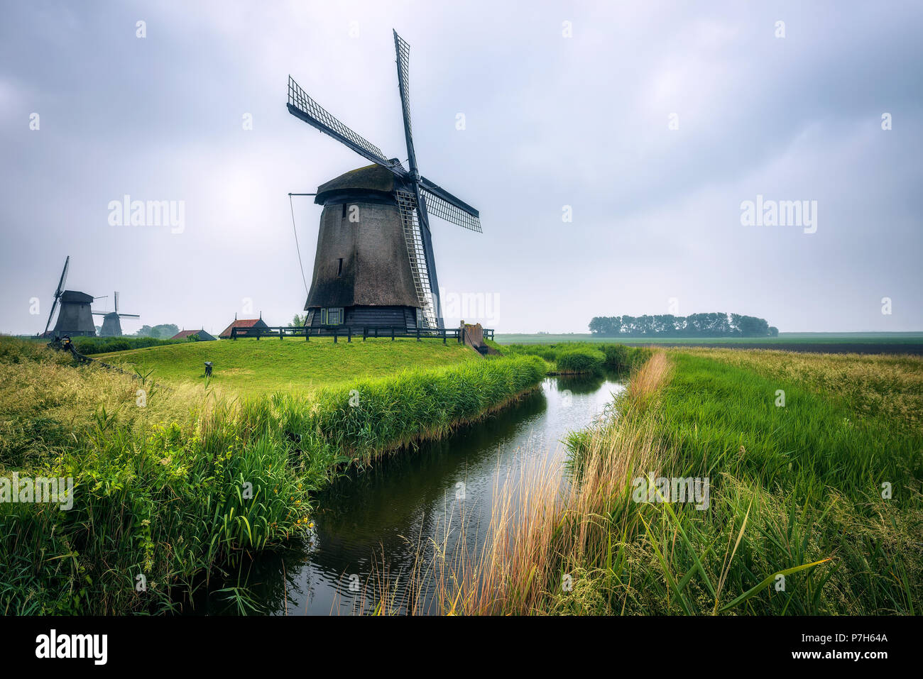 Vieux moulins à vent hollandais avec un ruisseau qui coule dans un paysage par matin froid près d'Amsterdam, Pays-Bas. Banque D'Images