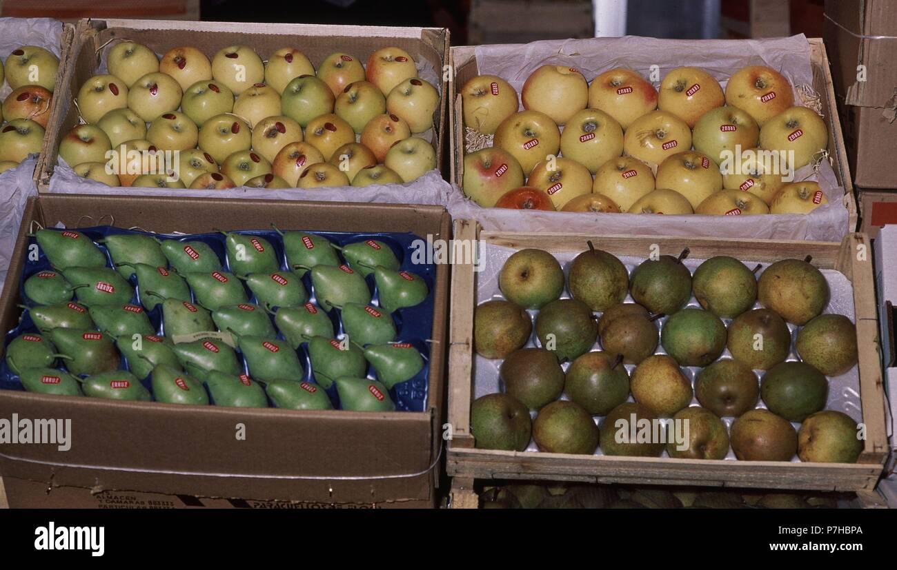 Nef DE Frutas y verduras-PUESTO DE FRUTA-PERAS. Emplacement : MERCAMADRID, MADRID, ESPAGNE. Banque D'Images