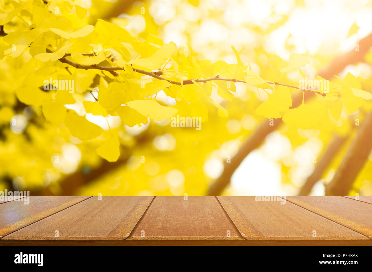 Table en bois vue et entièrement jaune de Ginko les feuilles d'automne avec l'arrière-plan flou. Banque D'Images