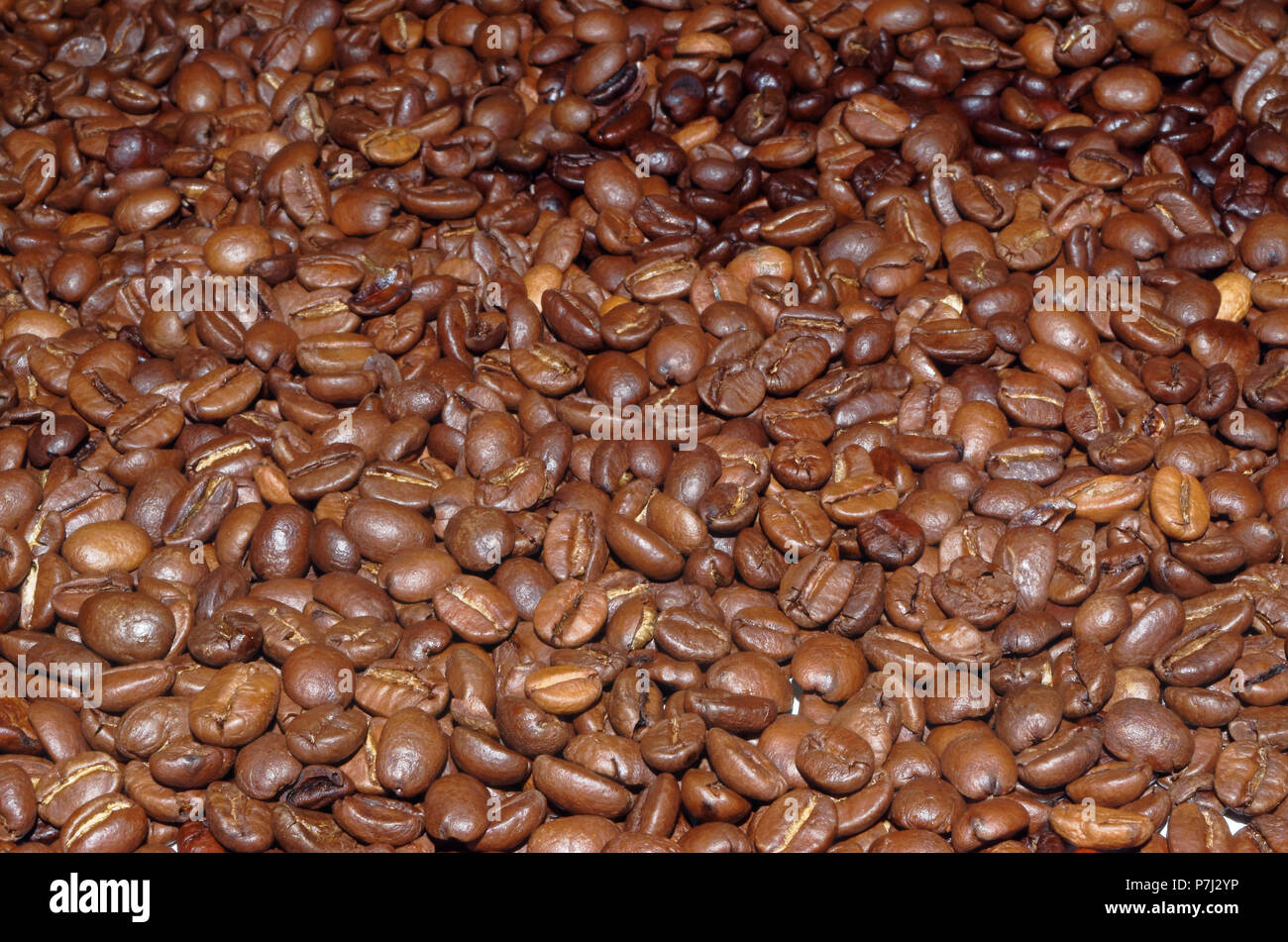 Les grains de café torréfié en arrière-plan Banque D'Images