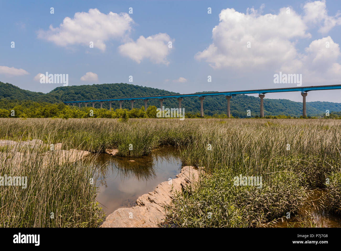 La susquehanna sous Holtwood Dam et près de l'écluse 12 Banque D'Images