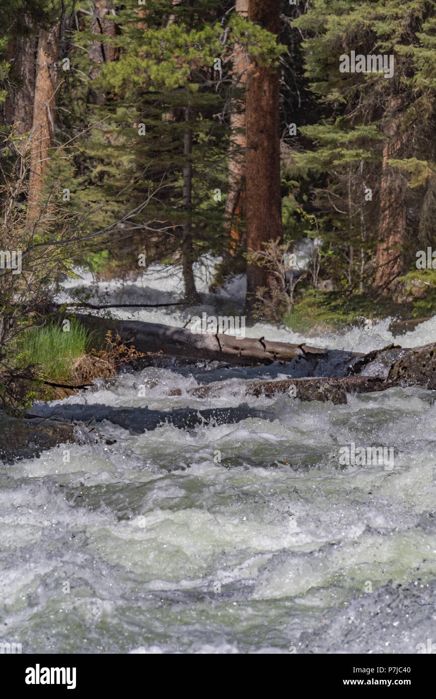 Printemps - la fonte rapide de la neige et de la glace qui s'écoule dans mountain Banque D'Images