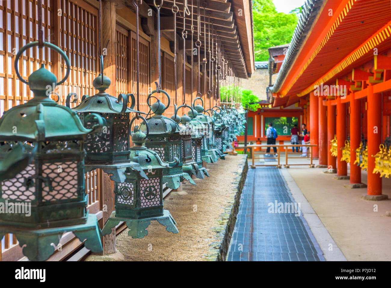 Nara, Japon à Kasuga Taisha Temple lanternes suspendues. Banque D'Images
