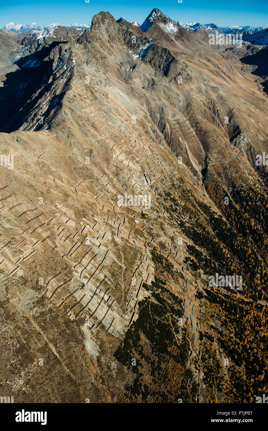 Piz Languard près de Pontresina dans la Haute-engadine, forêt d'automne, vue aérienne, Engadine, Grisons, Suisse Banque D'Images