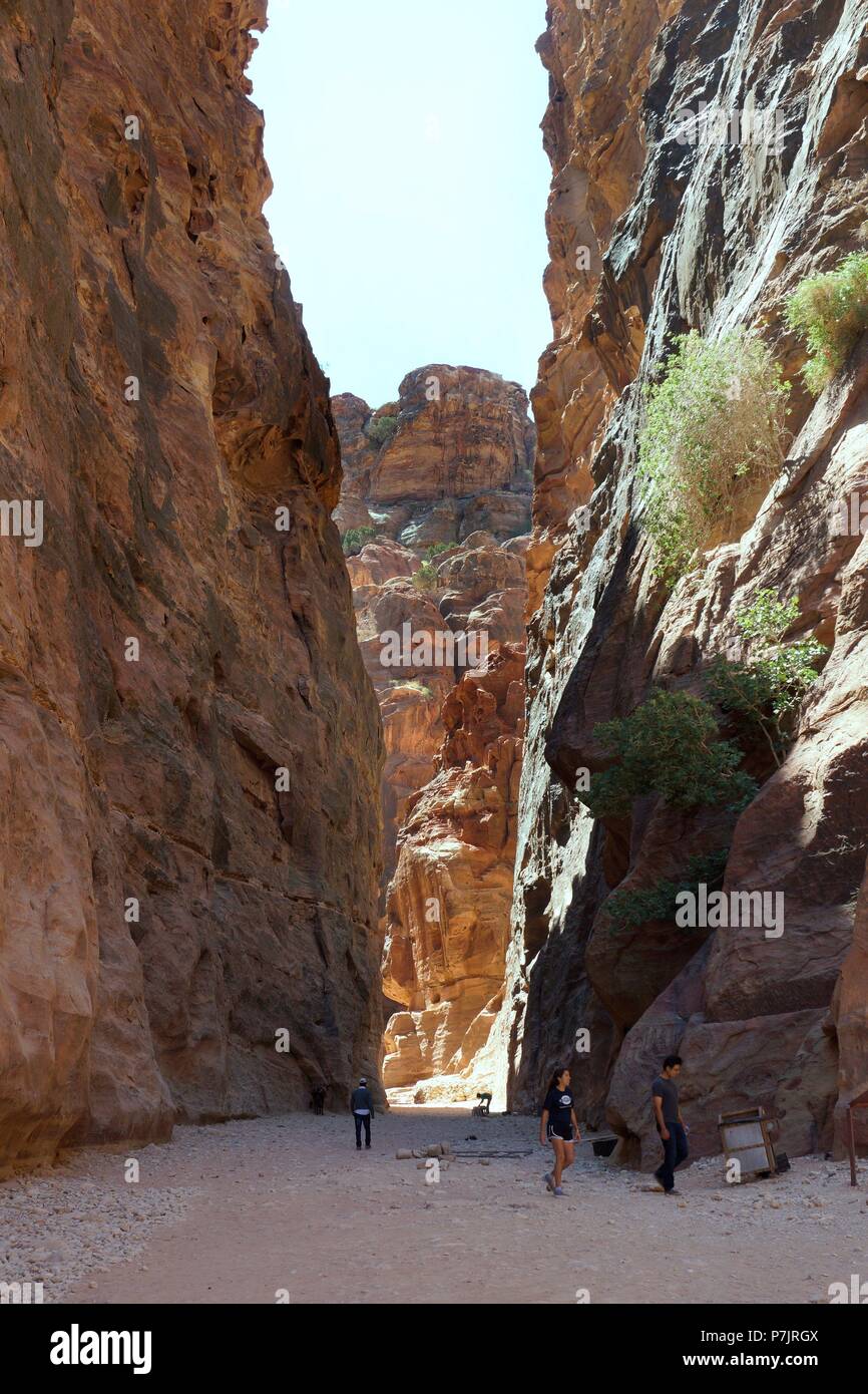 Petra. Enclave archéologique importante en Jordanie. Nabateo Capital del Antiguo reino. Banque D'Images