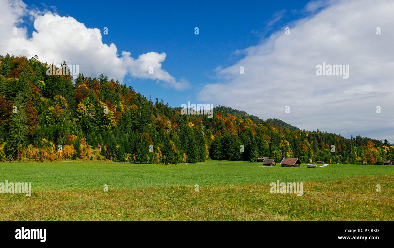 Mélange d'automne la forêt de conifères, de prairies ci-dessous, Haute-Bavière Banque D'Images