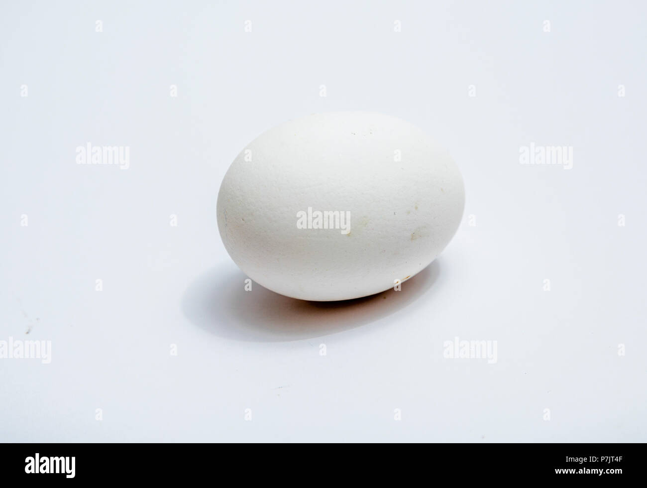 Egg isolé sur fond blanc Banque D'Images