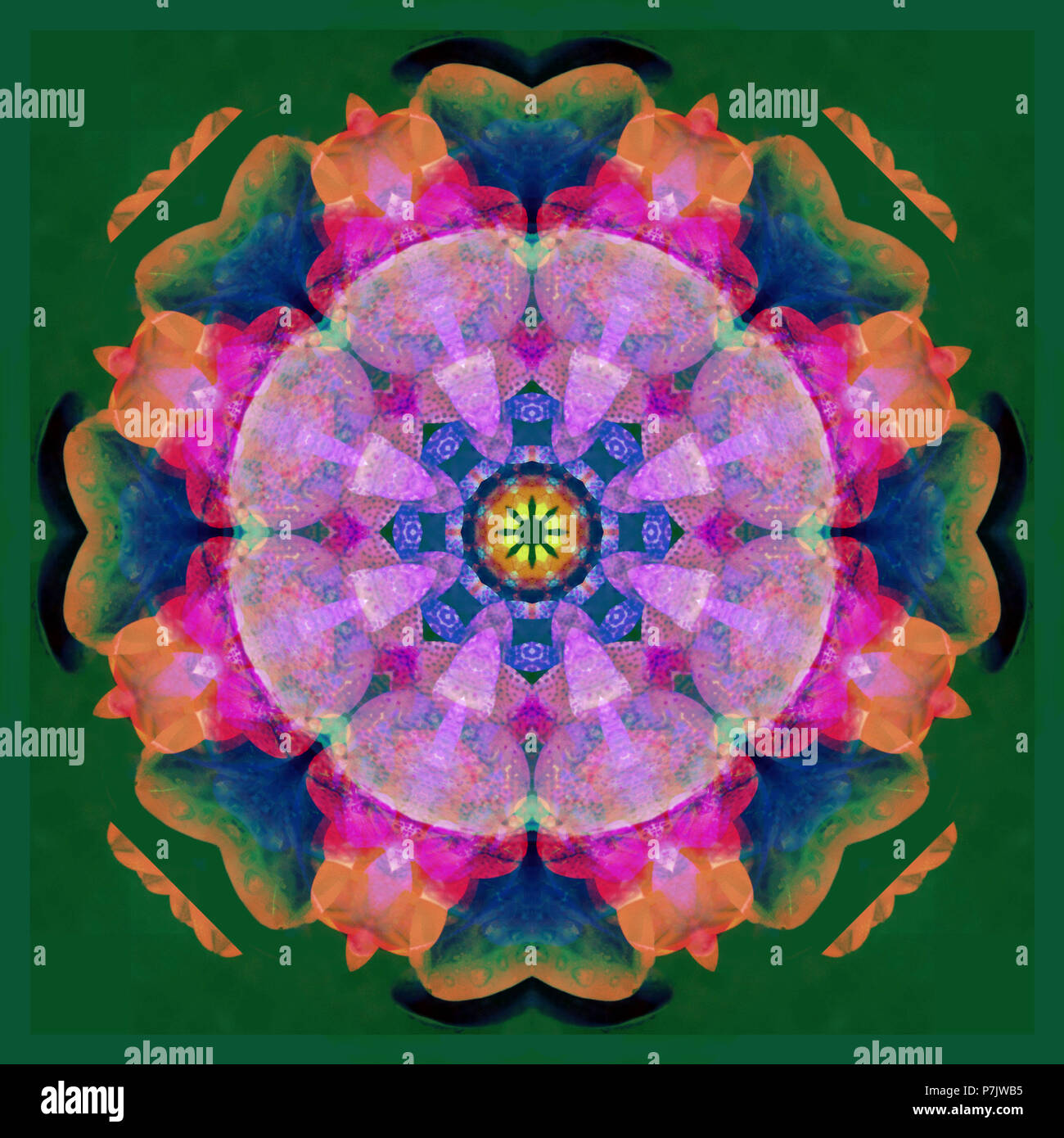 Mandala fleur photographique, rose, bleu, orange, vert, Banque D'Images