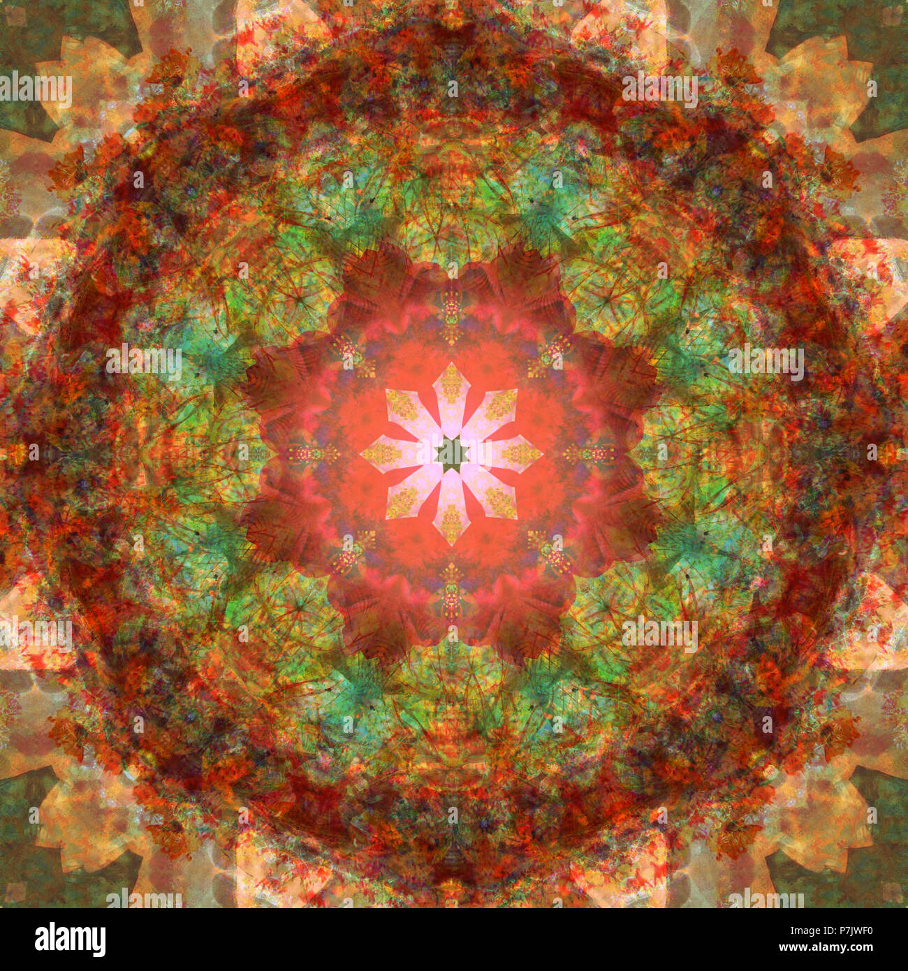 Mandala fleur photographique, orange, vert, rouge, Banque D'Images