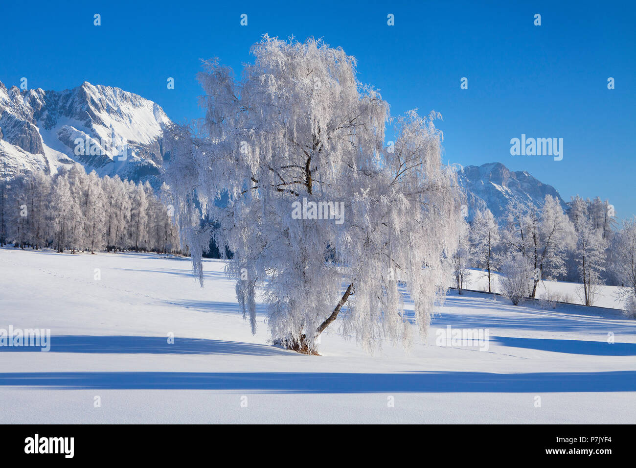 Autriche, Tyrol, à l'humeur d'hiver Mieminger plateau Banque D'Images