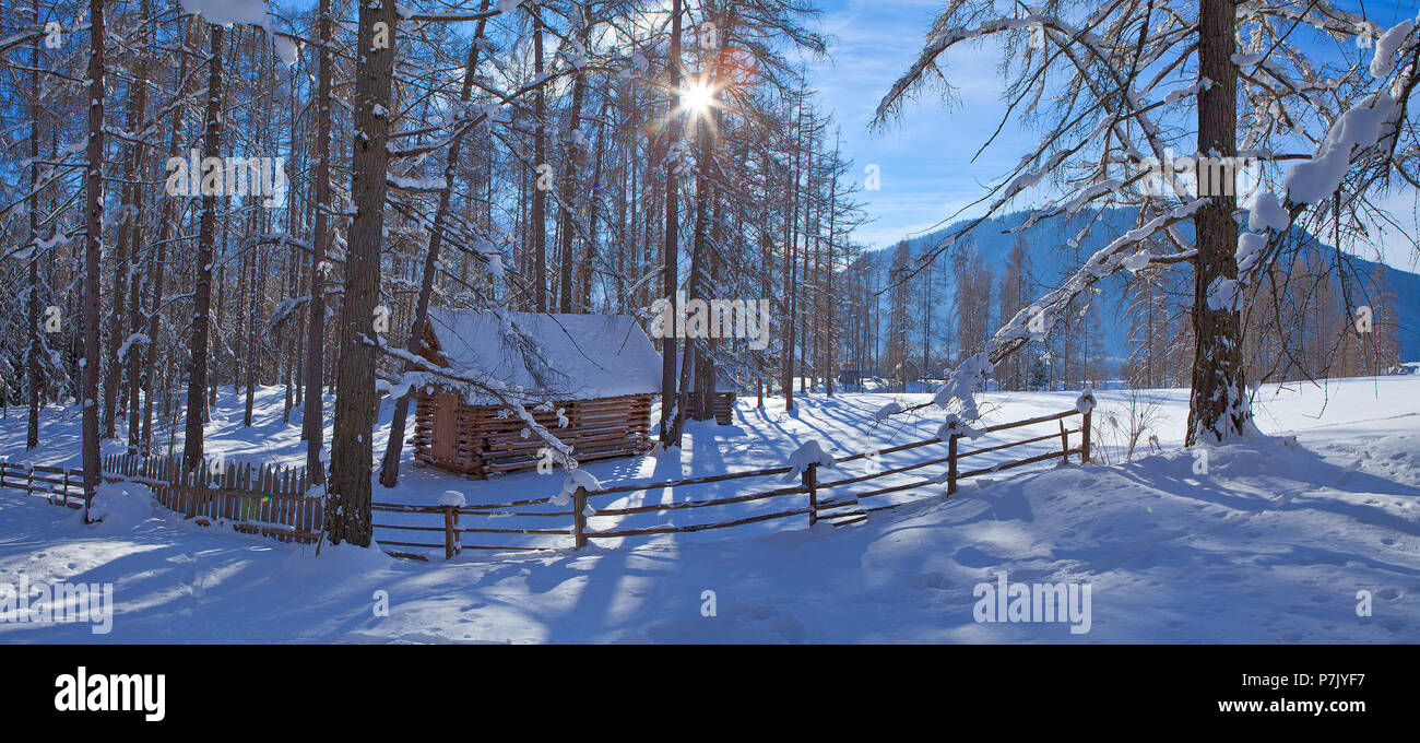 Autriche, Tyrol, Obsteig, Larchsteig en robe d'hiver Banque D'Images