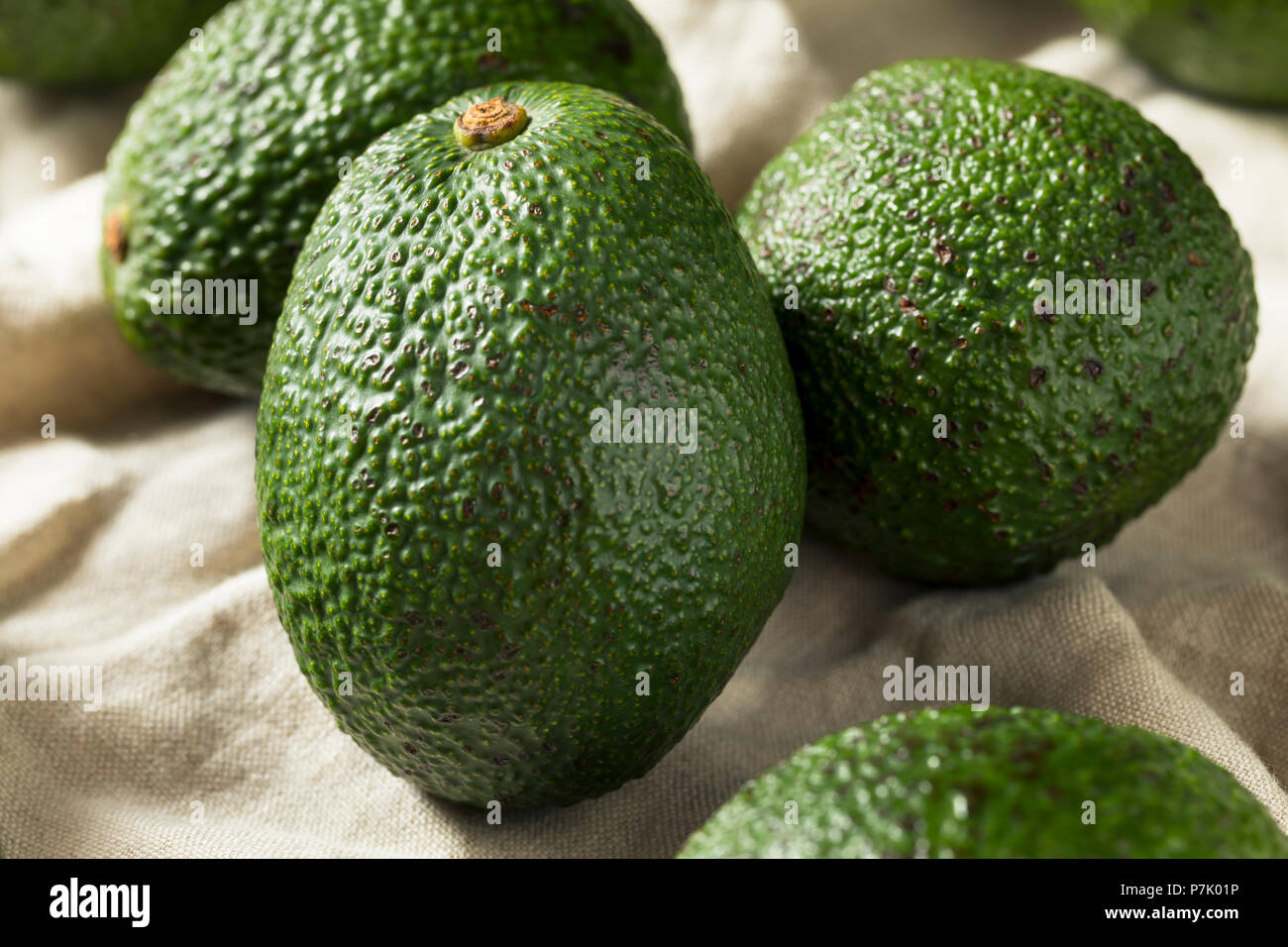 Matières organiques vert dans un tas d'avocats mûrs Banque D'Images