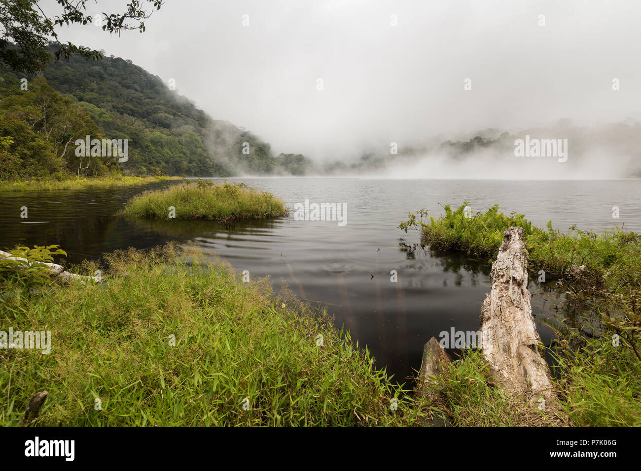 A lonely haute lande Lake dans le parc national de Gunung Leuser Banque D'Images