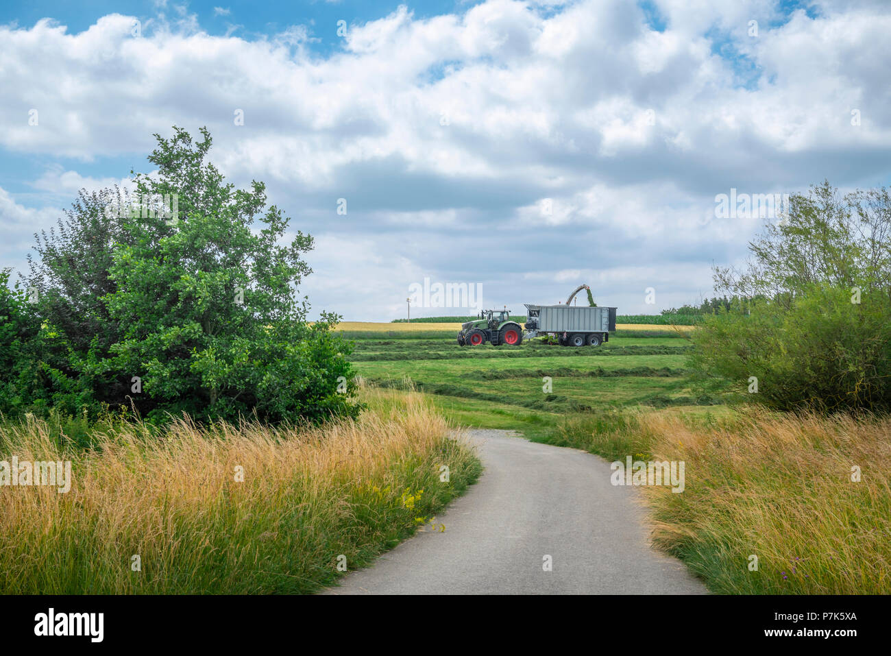 L'été avec un décor rustique pays route menant vers les champs agricoles et les machines la collecte du fourrage vert, près de Schwabisch Hall, en Allemagne. Banque D'Images