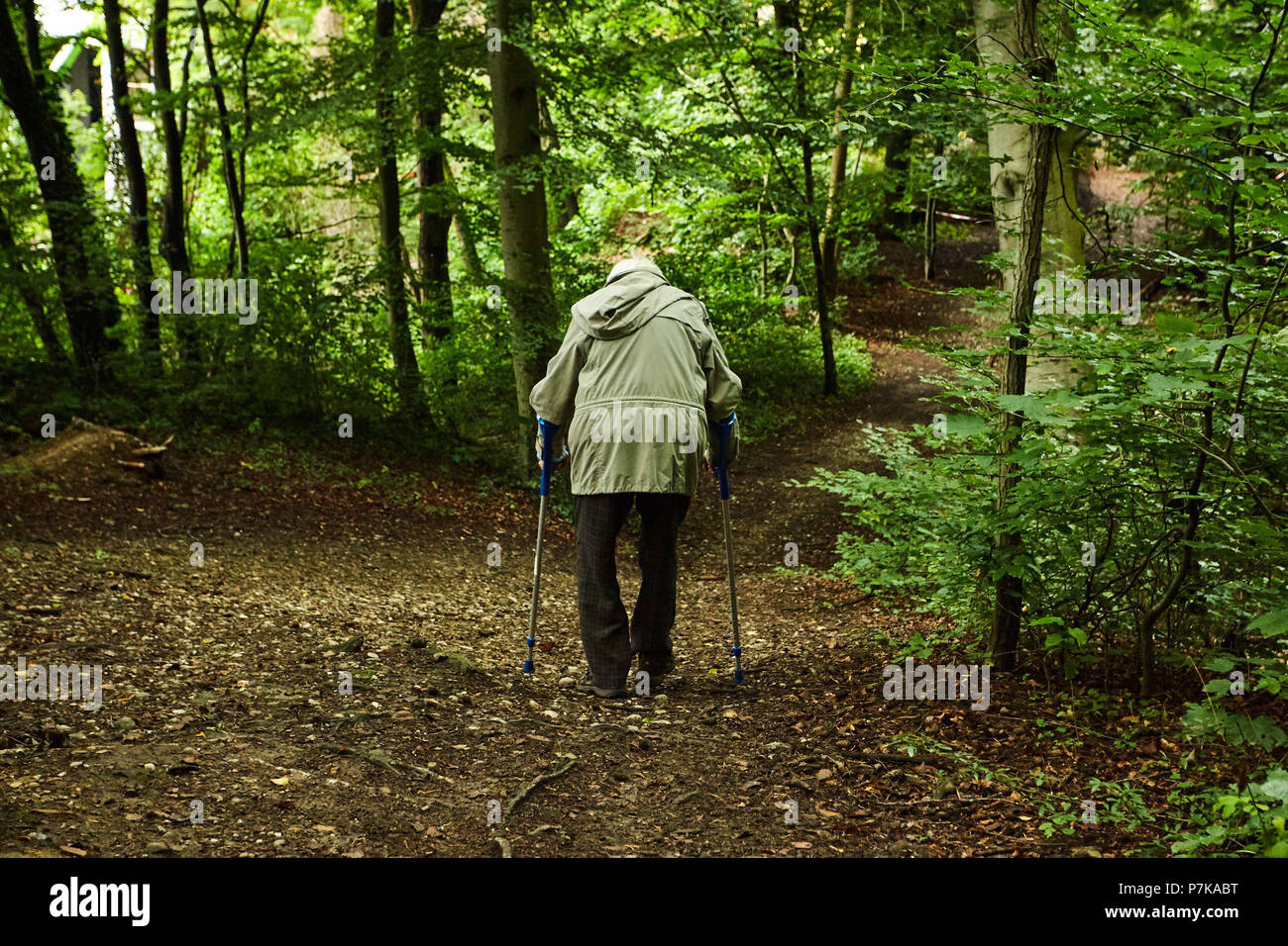 Vieil homme Femme 70-90 ans avec des béquilles walking in forest Banque D'Images