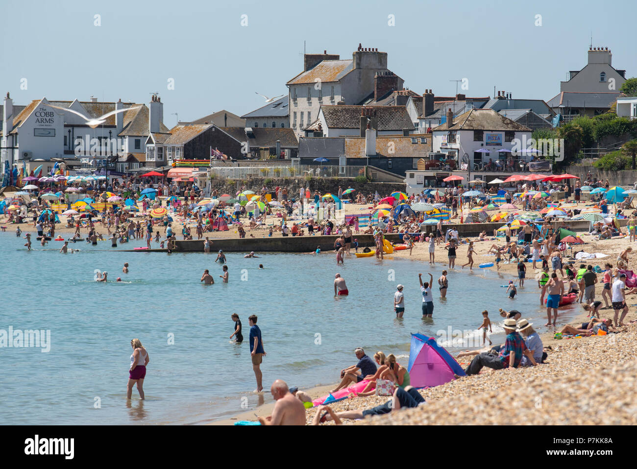 Lyme Regis, dans le Dorset, UK. 7 juillet 2018. Météo France : le soleil brûlant à Lyme Regis. Sunseekers affluent à la plage bondée dans la station balnéaire de Lyme Regis cet après-midi pour profiter encore plus de week-end sex soleil et ciel bleu clair sur ce qui est défini pour la journée la plus chaude de l'année jusqu'à présent. Credit : Celia McMahon/Alamy Live News Banque D'Images