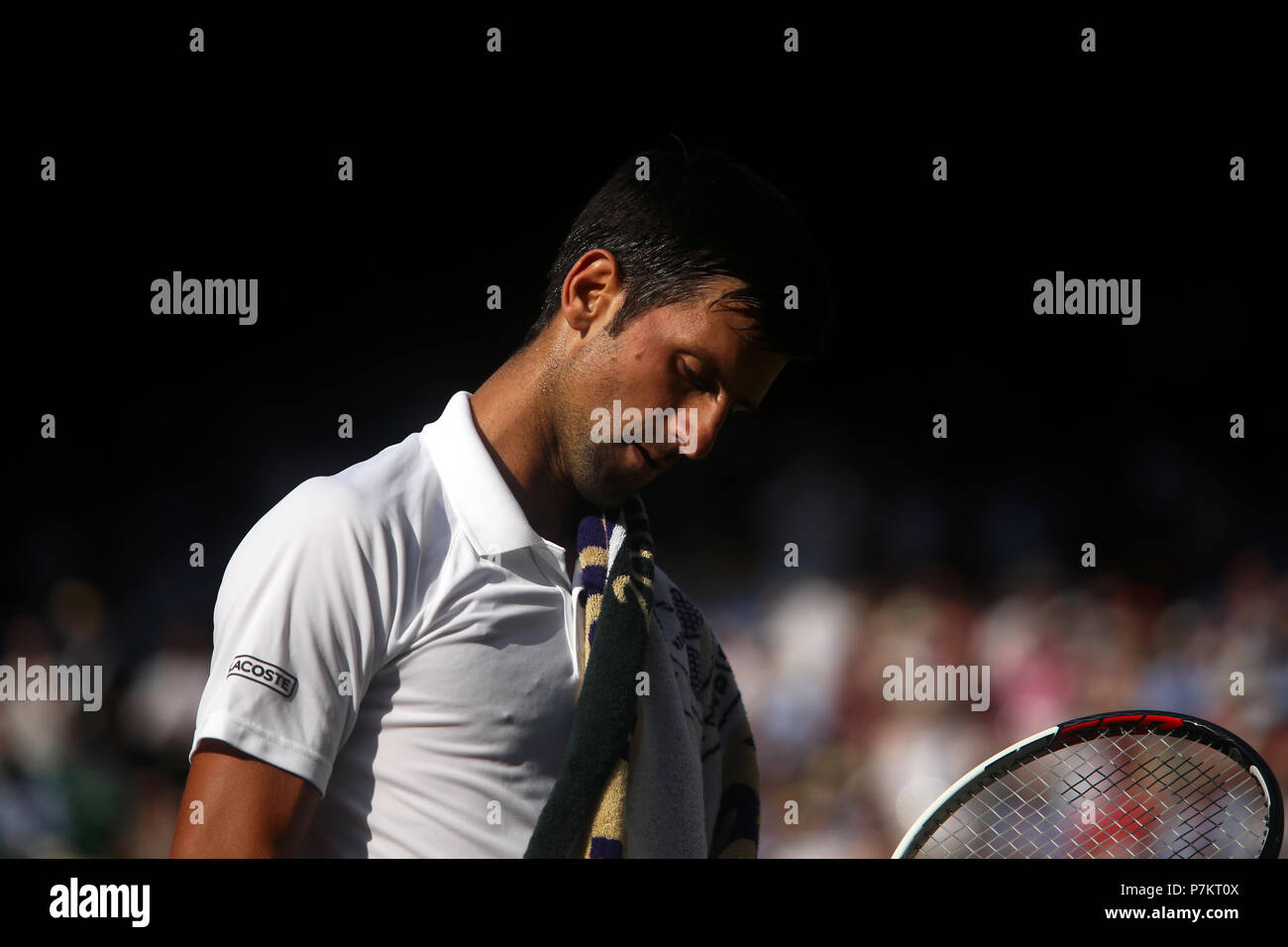 Londres, Angleterre - le 7 juillet 2018. Wimbledon Tennis : Novak Djokovic lors de son troisième match contre la Grande-Bretagne's Kyle Edmund sur le Court Central de Wimbledon aujourd'hui. Banque D'Images