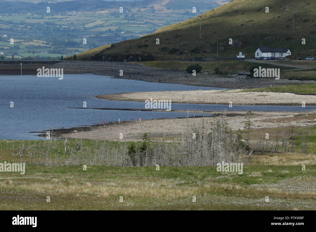 Montagnes de Mourne, comté de Down, Irlande du Nord. 07 juillet 2018. UK - chaud avec soleil et ciel variable dans l'Ain et Franche-comté que la sec chaud réglé temps persiste. Les niveaux d'eau sont bien bas à Spelga Dam. Crédit : David Hunter/Alamy Live News. Banque D'Images