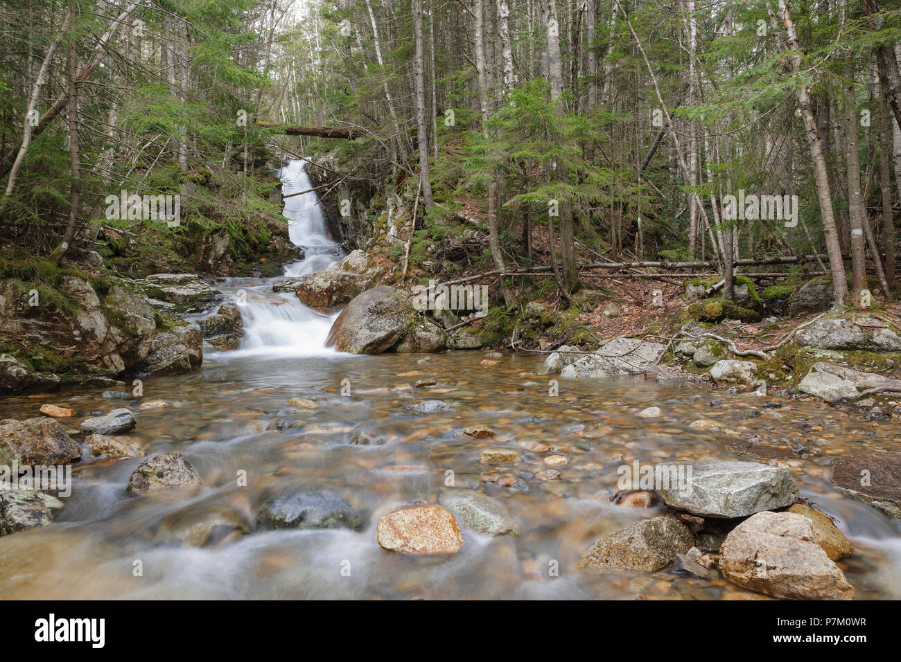 Pearl Cascade à Bethléem, New Hampshire, une partie des White Mountains, pendant les mois de printemps. Cette cascade est située sur Crawford Brook. Banque D'Images